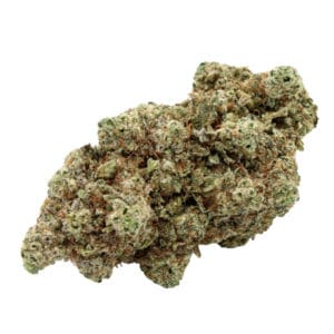 GORILLA GLUE 4 INDOOR HYBRID CANNABIS FLOWER by High Tolerance Concentratess - A Be Pain Free Global Brand