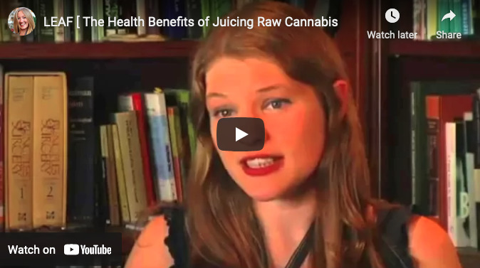 The Benefits Of Juicing Cannabis 1