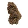 FORBIDDEN FRUIT INDOOR INDICA by High Tolerance Concentrate (HTC) - A Be Pain Free Global Brand