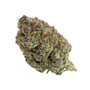 Gasoline Alley Hybrid Flower by High Tolerance Concentratess (HTC) - A Be Pain Free Global Brand