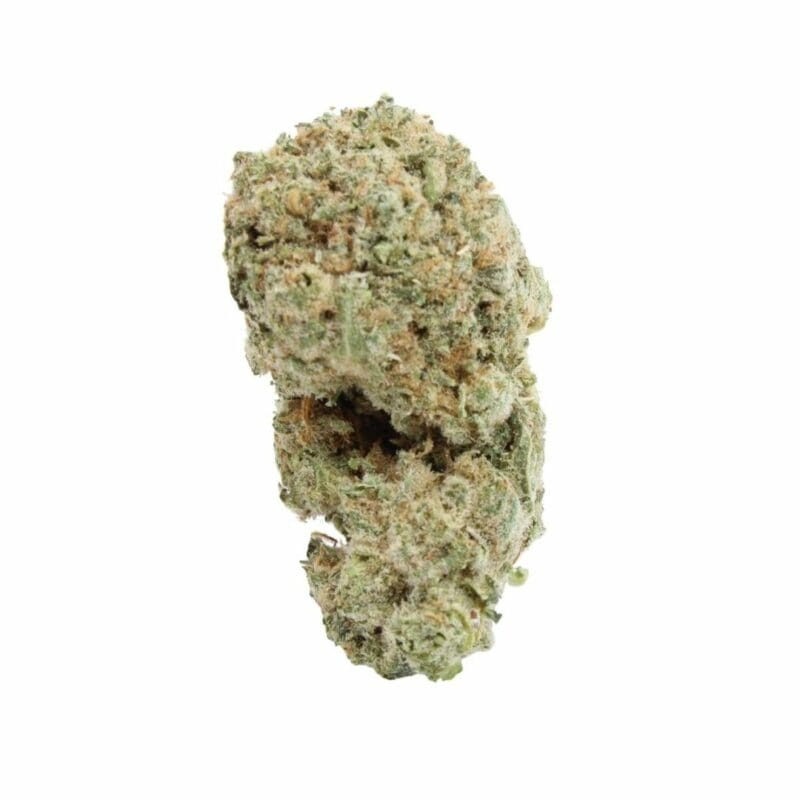GRAPE STOMPER ORGANIC HYBRID by High Tolerance Concentrate (HTC) - A Be Pain Free Global Brand
