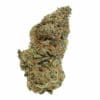 SEABISCUIT INDOOR ORGANIC INDICA by High Tolerance Concentrate (HTC) - A Be Pain Free Global Brand