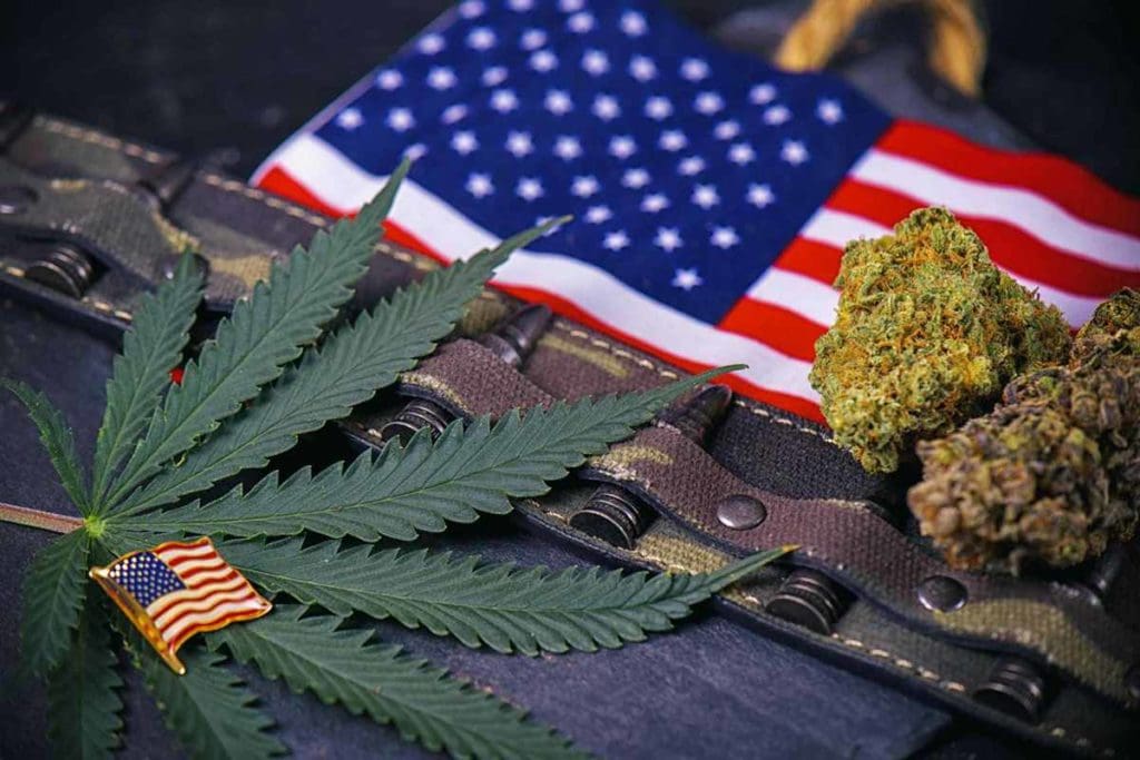 veteran cannabis 1 1