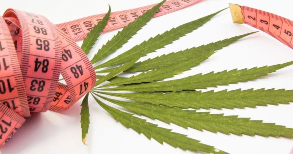 Cannabis Leaf and Measuring Tape - Medical Cannabis For Weight Loss - Can Cannabis Make You Thinner?
