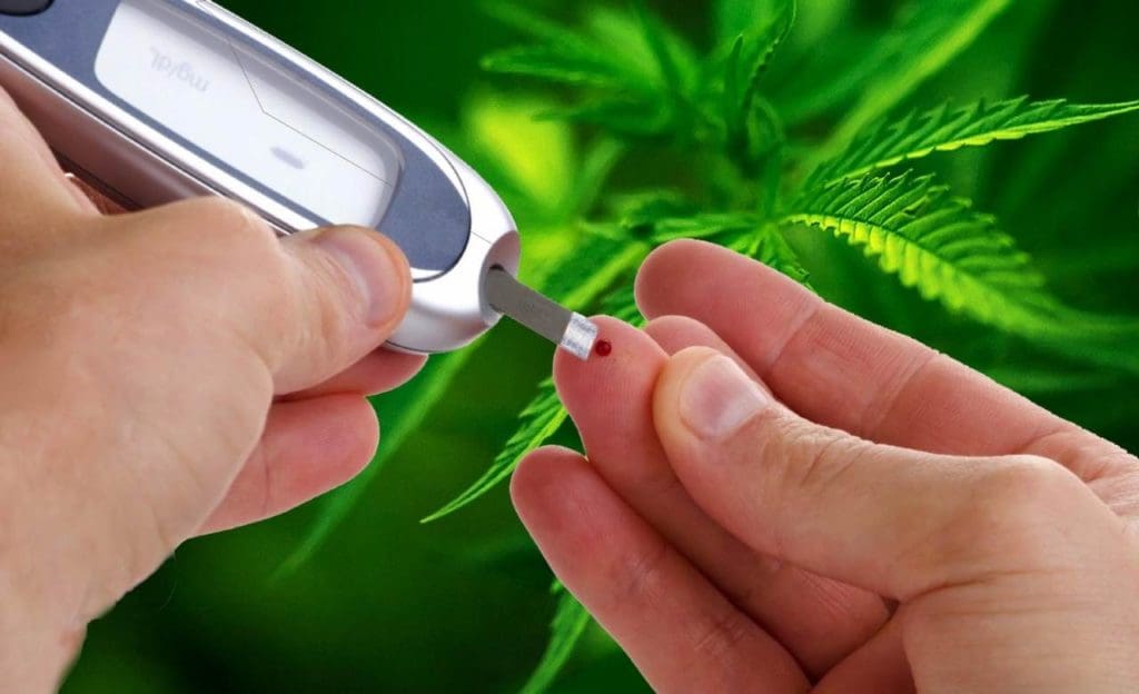 Diabetes and Cannabis