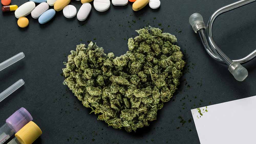 Medical Cannabis Vs. Opioids