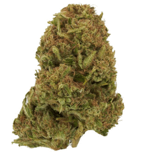 Apple Fritter Sun Grown Hybrid Cannabis Flower - A High Tolerance Concentrates Brand Product By Be Pain Free Global