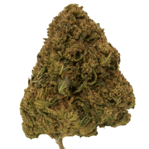 Biscotti Hybrid Cannabis Flower