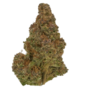 White Russian Hybrid Cannabis Flower - A High Tolerance Concentrates Brand Product By Be Pain Free Global