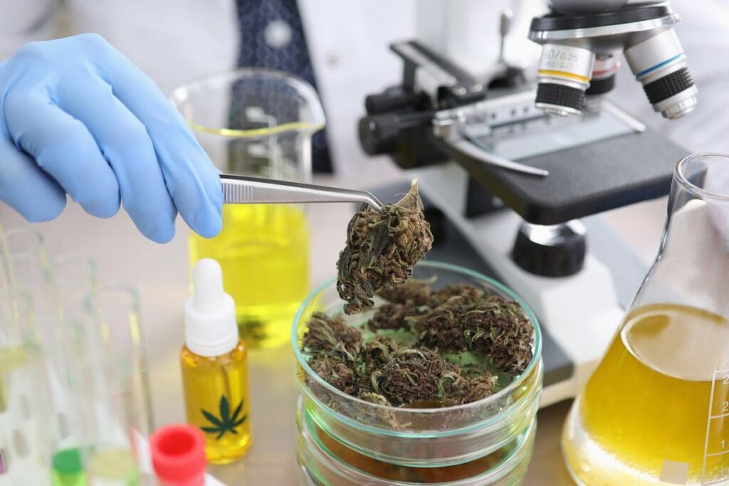 House Approves Bipartisan Bill to Allow Clinical Cannabis Research cannabis news mg magazine mgretailer