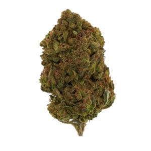 Shop for GARLIC BREATH INDICA by High Tolerance Concentrates (HTC) - A Be Pain Free Global Brand. We offer a wide variety of High Tolerance Flowers.