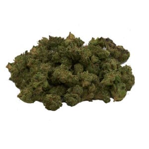 Shop for ANIMAL MINTZ HYBRID POPCORN by High Tolerance Concentrates (HTC) - A Be Pain Free Global Brand. We offer a wide variety of High Tolerance Flowers.