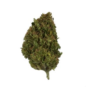 Shop for BLACK CHERRY PUNCH SUN GROWN INDICA by High Tolerance Concentrates (HTC) - A Be Pain Free Global Brand. We offer a wide variety of High Tolerance Flowers.