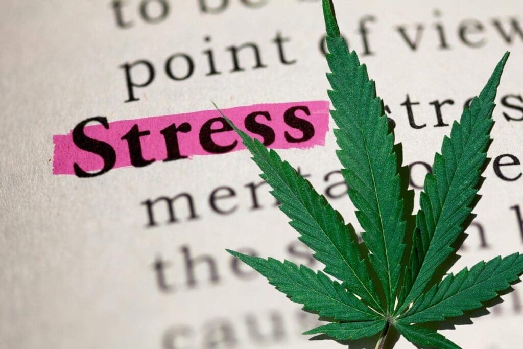Cancel Stress with Cannabis