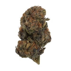 Shop for GRAPE CHERRY GELATO INDICA by High Tolerance Concentrates (HTC) - A Be Pain Free Global Brand. We offer a wide variety of High Tolerance Flowers.