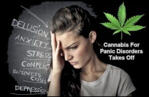 Can You Cancel Stress With Cannabis? Discover how medical marijuana can help alleviate stress caused by today's unpredictable world. Learn about the benefits of cannabis, modern stress triggers, and natural relief methods to improve your well-being.
