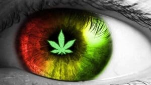 cannabis glucoma
