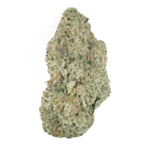 Extreme Cream Indoor Indica cannabis by High Tolerance Concentrates – premium exotic indica strain for powerful physical relief and relaxing effects.